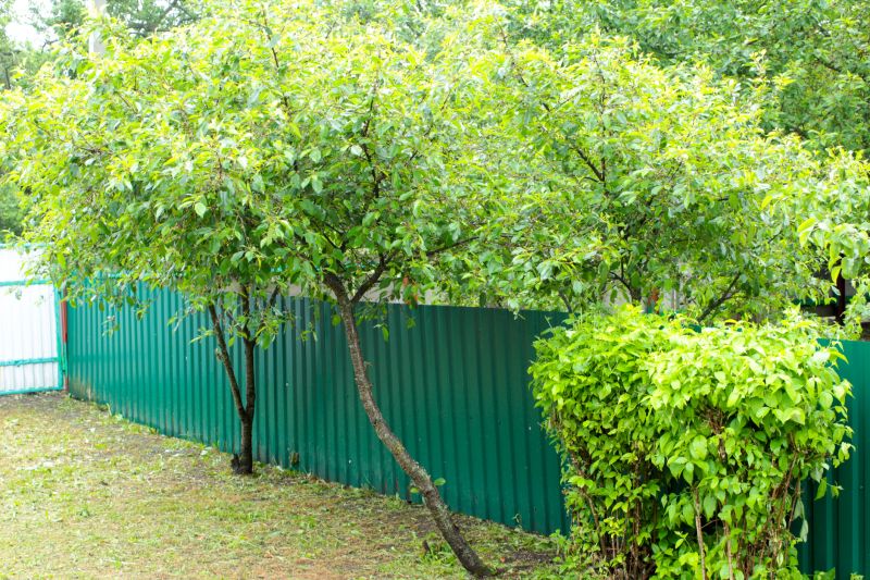 Fence and Garden Structures